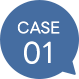 CASE01