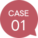 CASE01